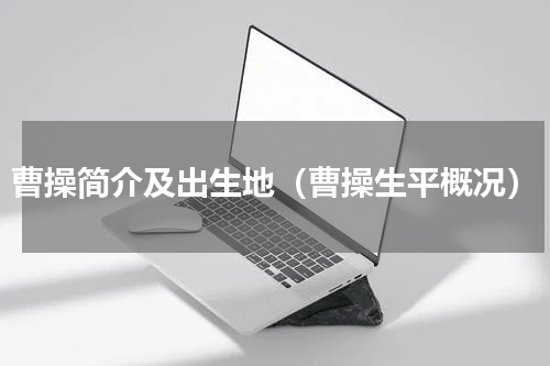 曹操简介及出生地（曹操生平概况）