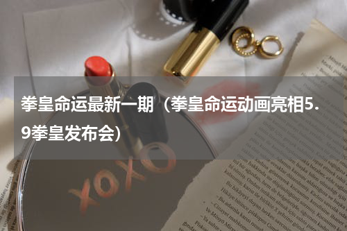 拳皇命运最新一期（拳皇命运动画亮相5.9拳皇发布会）