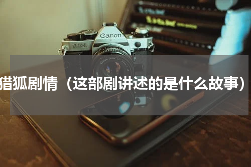 猎狐剧情（这部剧讲述的是什么故事）