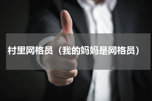 村里网格员（我的妈妈是网格员）