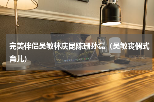 完美伴侣吴敏林庆昆陈珊孙磊（吴敏丧偶式育儿）