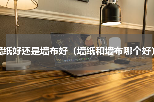 墙纸好还是墙布好（墙纸和墙布哪个好）