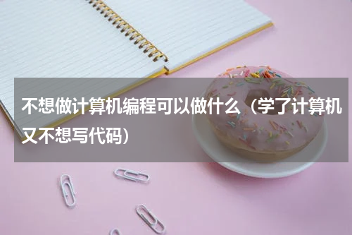 不想做计算机编程可以做什么（学了计算机又不想写代码）