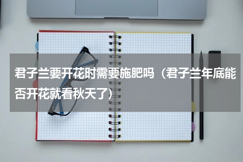 君子兰要开花时需要施肥吗（君子兰年底能否开花就看秋天了）