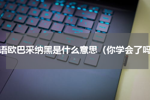韩语欧巴采纳黑是什么意思（你学会了吗）