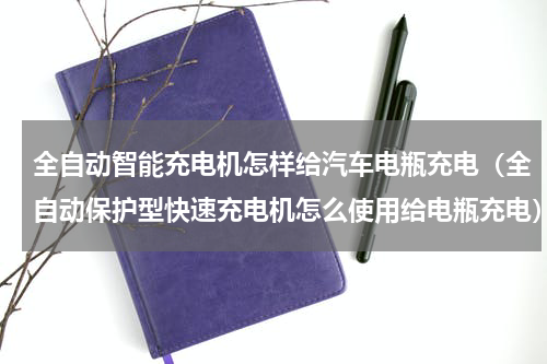 全自动智能充电机怎样给汽车电瓶充电（全自动保护型快速充电机怎么使用给电瓶充电）