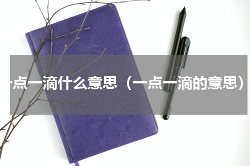 一点一滴什么意思（一点一滴的意思）