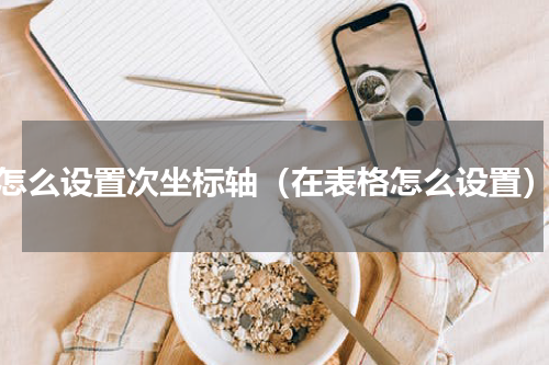 怎么设置次坐标轴（在表格怎么设置）