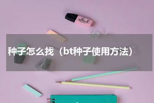 种子怎么找（bt种子使用方法）