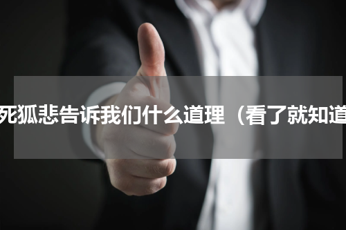 兔死狐悲告诉我们什么道理（看了就知道）