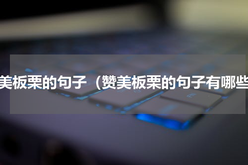 赞美板栗的句子（赞美板栗的句子有哪些）