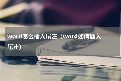 word怎么插入尾注（word如何插入尾注）