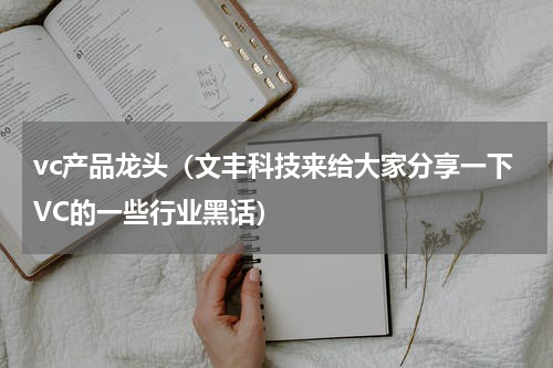 vc产品龙头（文丰科技来给大家分享一下VC的一些行业黑话）