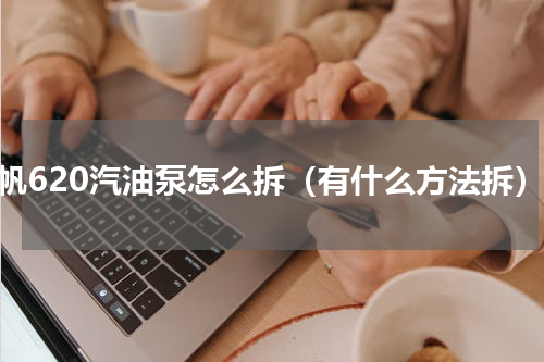 力帆620汽油泵怎么拆（有什么方法拆）