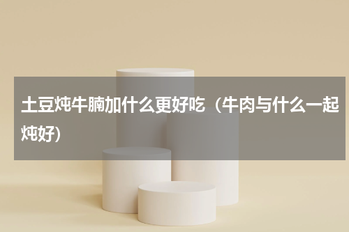 土豆炖牛腩加什么更好吃（牛肉与什么一起炖好）