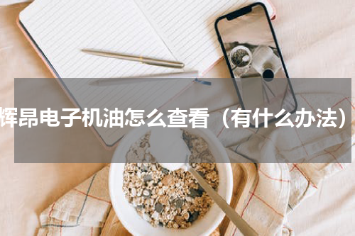 辉昂电子机油怎么查看（有什么办法）