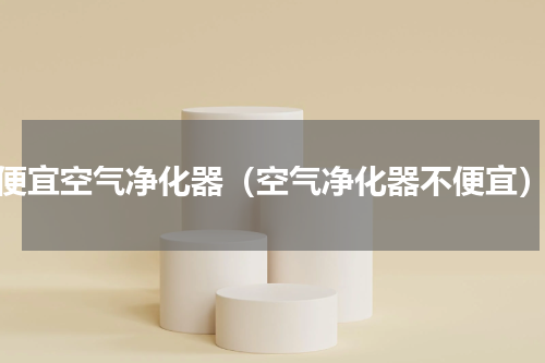 便宜空气净化器（空气净化器不便宜）