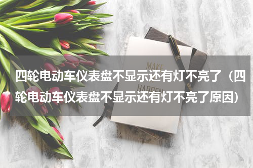 四轮电动车仪表盘不显示还有灯不亮了（四轮电动车仪表盘不显示还有灯不亮了原因）