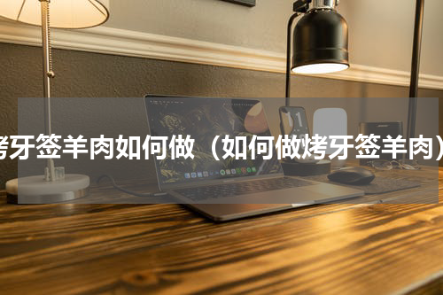 烤牙签羊肉如何做（如何做烤牙签羊肉）