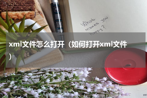 xml文件怎么打开（如何打开xml文件）