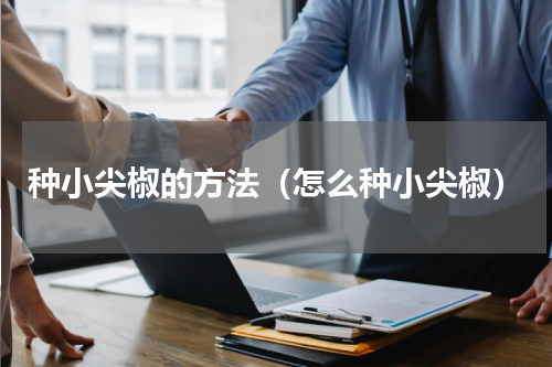 种小尖椒的方法（怎么种小尖椒）