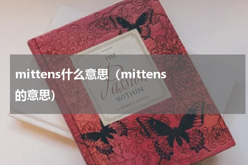mittens什么意思（mittens的意思）