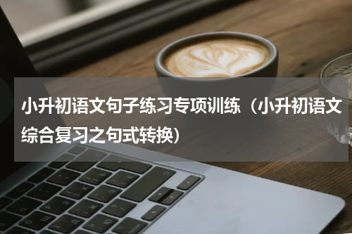 小升初语文句子练习专项训练（小升初语文综合复习之句式转换）