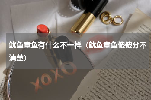 鱿鱼章鱼有什么不一样（鱿鱼章鱼傻傻分不清楚）