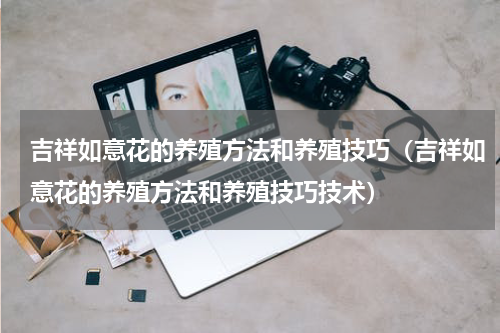 吉祥如意花的养殖方法和养殖技巧（吉祥如意花的养殖方法和养殖技巧技术）