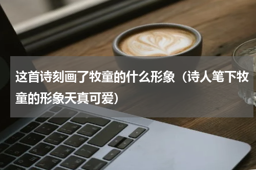 这首诗刻画了牧童的什么形象（诗人笔下牧童的形象天真可爱）