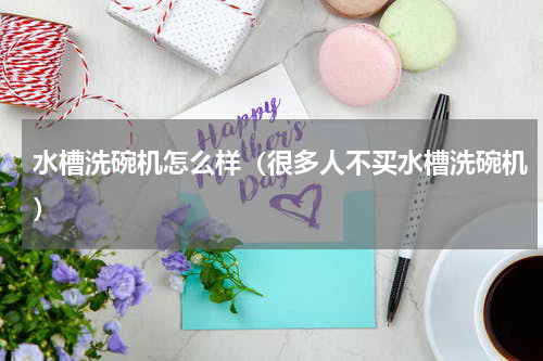 水槽洗碗机怎么样（很多人不买水槽洗碗机）