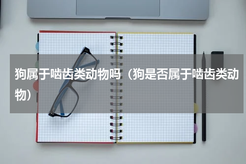 狗属于啮齿类动物吗（狗是否属于啮齿类动物）