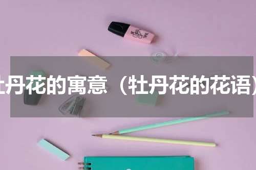 牡丹花的寓意（牡丹花的花语）