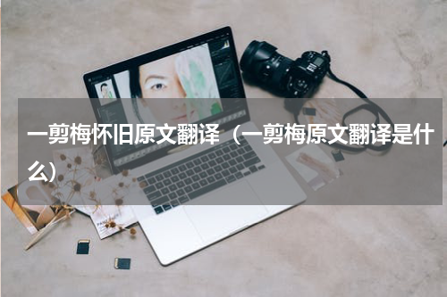 一剪梅怀旧原文翻译（一剪梅原文翻译是什么）