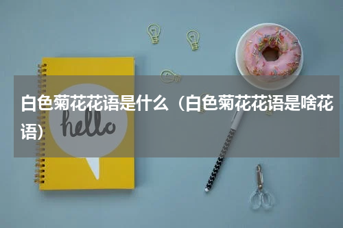 白色菊花花语是什么（白色菊花花语是啥花语）