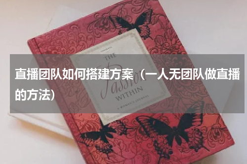 直播团队如何搭建方案（一人无团队做直播的方法）