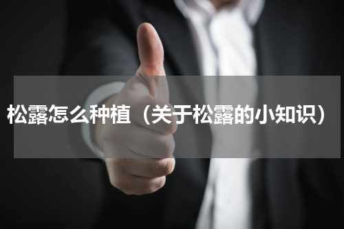 松露怎么种植（关于松露的小知识）