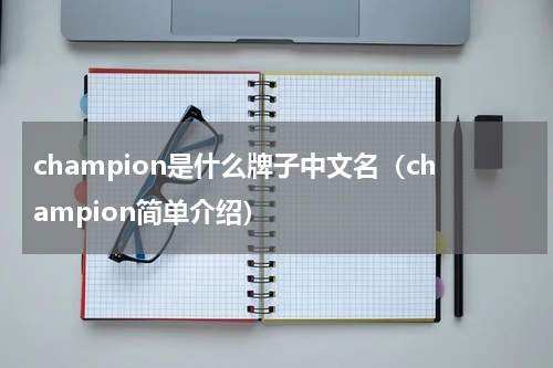 champion是什么牌子中文名（champion简单介绍）