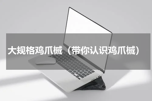大规格鸡爪槭（带你认识鸡爪槭）