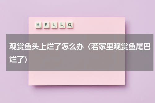 观赏鱼头上烂了怎么办（若家里观赏鱼尾巴烂了）