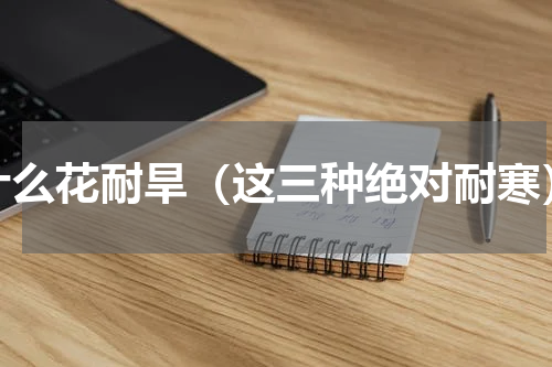 什么花耐旱（这三种绝对耐寒）