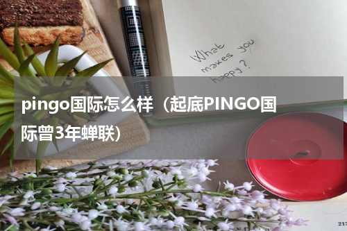 pingo国际怎么样（起底PINGO国际曾3年蝉联）
