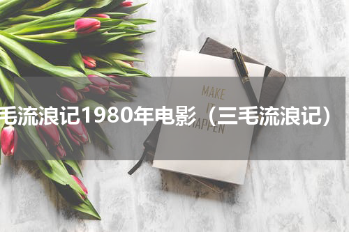 三毛流浪记1980年电影（三毛流浪记）