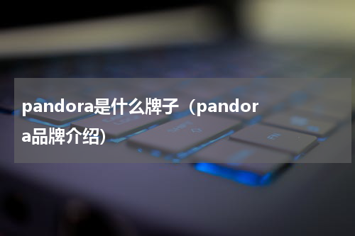 pandora是什么牌子（pandora品牌介绍）