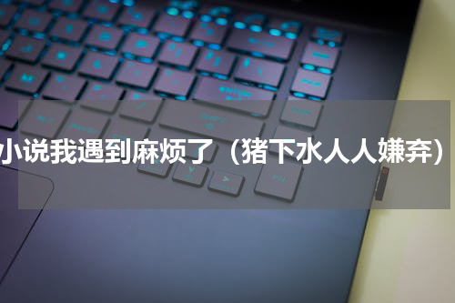 小说我遇到麻烦了（猪下水人人嫌弃）