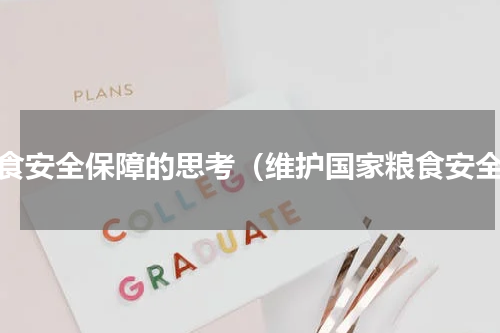 粮食安全保障的思考（维护国家粮食安全）