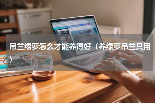 吊兰绿萝怎么才能养得好（养绿萝吊兰只用）