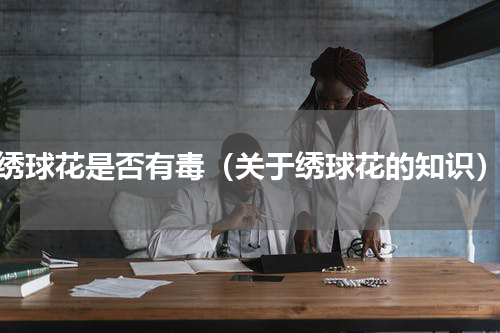 绣球花是否有毒（关于绣球花的知识）