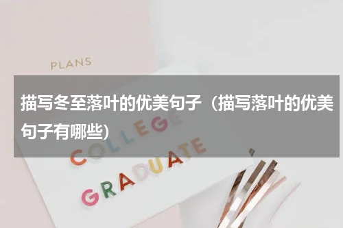 描写冬至落叶的优美句子（描写落叶的优美句子有哪些）