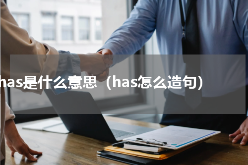 has是什么意思（has怎么造句）